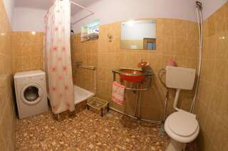 Гостевой дом Casa de vacanta Jeny Новач-Стрэйни Двухместный номер с 1 кроватью и собственной ванной комнатой-2