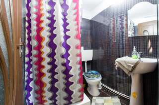 Гостевой дом Casa de vacanta Jeny Новач-Стрэйни Двухместный номер с 1 кроватью и собственной ванной комнатой-8